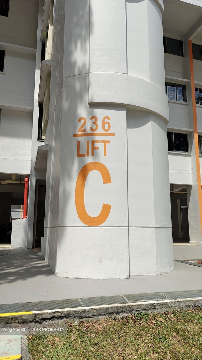 Blk 236 Hougang Avenue 1 (Hougang), HDB 4 Rooms #553869601